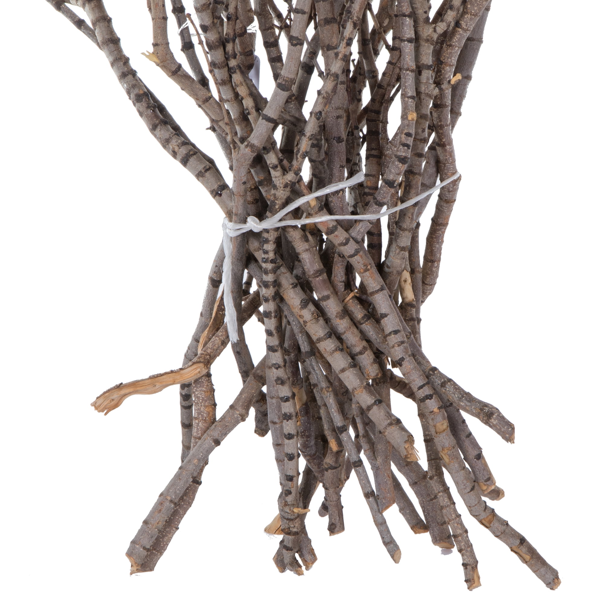 Vickerman 36" Tigerwood bundle, 25 stems per Bundle , Dried