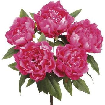 Poly-Silk American Beauty Peony Bush  18 ALLSTATE FLORAL FBP015-BT American Beauty silk Peony Bush. 5 Stem with flower and leaves. The largest blooms are approx. 7 inch diameter. Total bush is approx. 18  high.
