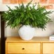 thumbnail image 5 of Ramas Artificiales de Pino Jutom de 45 cm Flexibles Verde, 50 piezas, 5 of 6