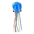 thumbnail image 1 of CGYan Mollusk Marine Animal Kite Easy To Fly Kite For Kids And Adults No Handle With Kite String Perfect Kite For Beginners Perfect For Outdoor Play With 100 Meters Large Line Board, 1 of 3