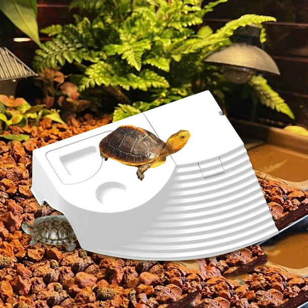 de descanso para tanque de tortugas, accesorios para acuarios, rampa para tortugas con comedero para reptiles, rampa para tortugas y ranas