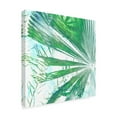 thumbnail image 2 of Trademark Fine Art 'Emerald Palms I' Canvas Art by Pam Ilosky, 2 of 4