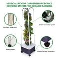 thumbnail image 2 of Hydroponic Growing Unit, Perfect for Fruits & Vegetables, Built-in Grow Light, Simple Setup, Effortless Upkeep, 2 of 6
