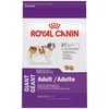 Royal Canin Giant Large Breed Adult Dry Dog Food, 35 lb