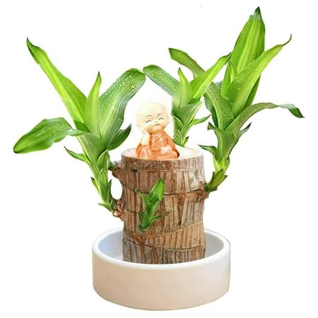 

Lovers Sculpture Geometric Statue Garden Outdoor Large Solar Rooster Sculpture Pt Ornament Brazilian Wood Easy Grow Wood Easy Care Christmas Ornament Pack Son Christmas Ornament Create Ornament