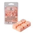 thumbnail image 1 of Cubos de Cera Hometrends Bubbly Champagne Aroma 70 G, 1 of 4