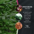 thumbnail image 4 of WoodWick Winter Garland Scented Trilogy Medium Hourglass Candle, Crackles at it Burns, Perfect for Gifting, 9.7oz, 4 of 7