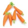 Darice Timeless Miniatures: Carrots