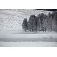 thumbnail image 2 of The Yellowstone Collection 24x17 White Modern Wood Framed Museum Art Print Titled - Frosty Trees in Hayden Valley, Yellowstone National Park, 2 of 4