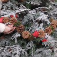 thumbnail image 3 of Conos de pino de Navidad - Decoraciones naturales de cono de pino de Acción de Gracias para Navidad / Decoración del hogar / Artesanía de bricolaje JAMW Sencillez, 3 of 5