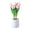 AZ, variant on Noothes Tulip Lights Mother's Day Gift LED Desk Lamp with Artificial Flower and Vase for Holiday Wedding Room Decoration