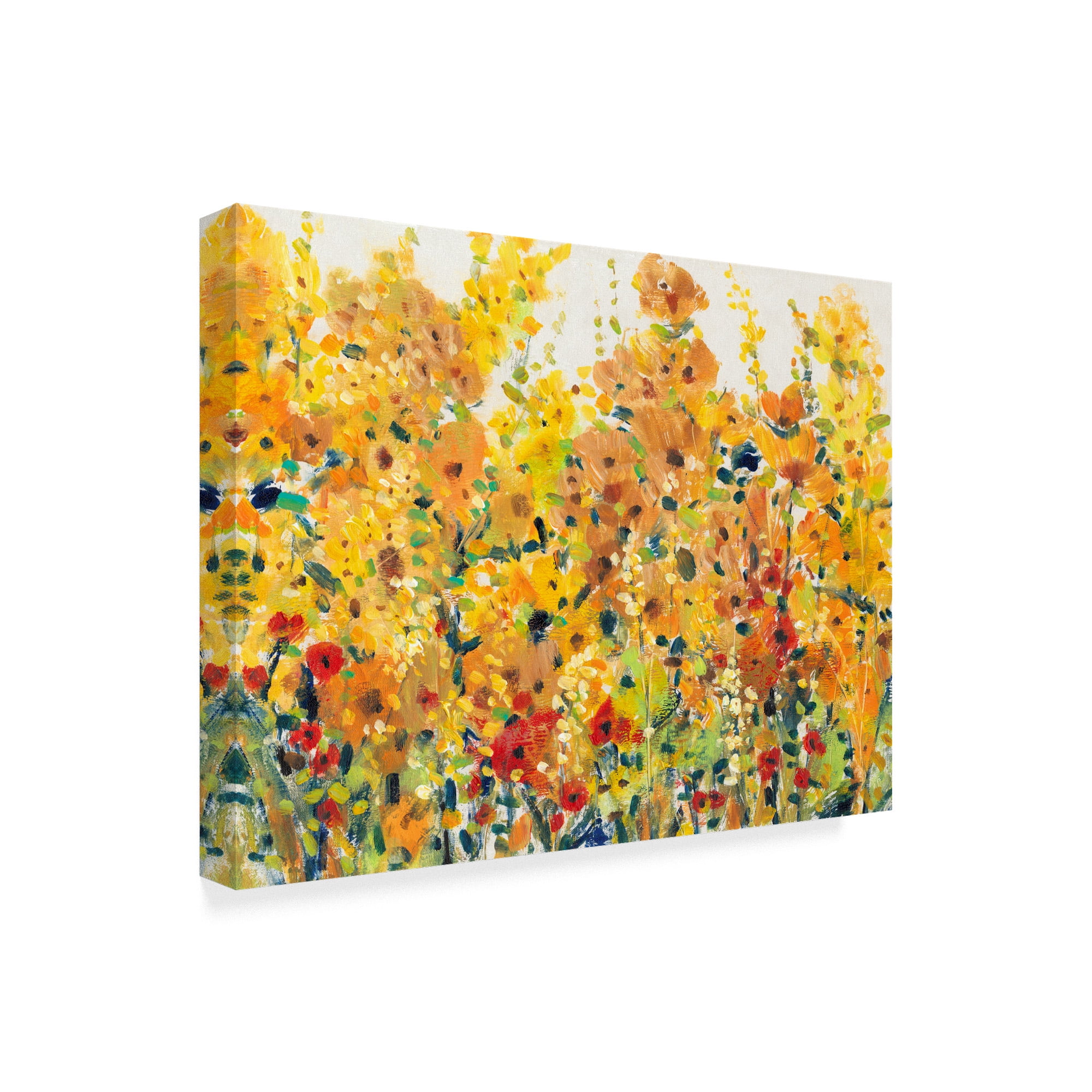 Trademark Fine Art 'Golden Summer Garden I' Canvas Art by Tim OToole