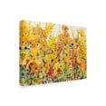 thumbnail image 2 of Trademark Fine Art 'Golden Summer Garden I' Canvas Art by Tim OToole, 2 of 4