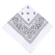thumbnail image 2 of Toystoory Bufanda pequeña cuadrada de moda Hip hop Cool Guy mujeres hombres impresión cabeza envoltura rap estrella pañuelo cuello lazo para el pelo Accesorios para máquinas de ejercicios Blanco Toystoory JJ15373-05, 2 of 6