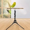 thumbnail image 5 of Adjustable Bird Perch | Bird Training Perch | Bird Perch Height Stand | Standing, 5 of 5