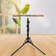 thumbnail image 5 of Adjustable Bird Perch | Bird Training Perch | Bird Perch Height Stand | Standing, 5 of 5
