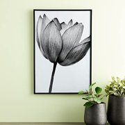 Studio Decor Basics Black Multipurpose Frame
