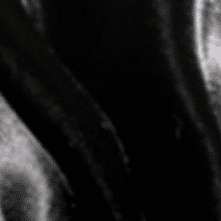 Charcoal Black