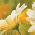 thumbnail image 2 of Viollet, Pierre 12x12 Black Ornate Wood Framed with Double Matting Museum Art Print Titled - Marguerites dans le soleil 2, 2 of 4