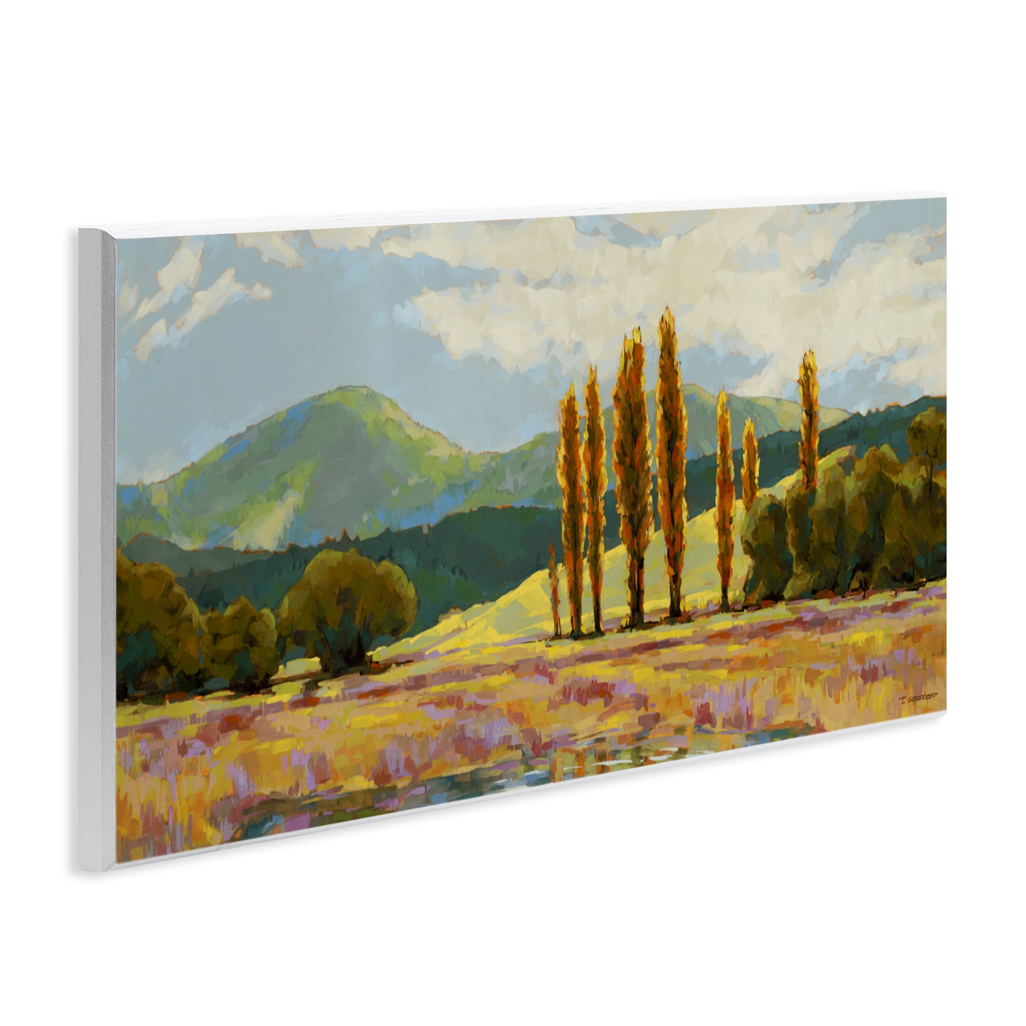 Stupell Industries Vast Subdued Countryside Wall Plaque Art, design by Trevor Copenhaver