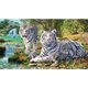 thumbnail image 1 of 5D DIY Diamond Painting Kits Full Square Drill White Tigers Imagen de mosaico Sywqhk Decoración hogareña, 1 of 9