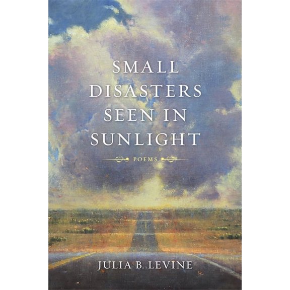 Barataria Poetry Small Disasters Seen in Sunlight, (Paperback)