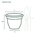 thumbnail image 5 of Bloem 10-in Ariana Self Watering Plastic Planter - Merlot Burgundy, 5 of 5
