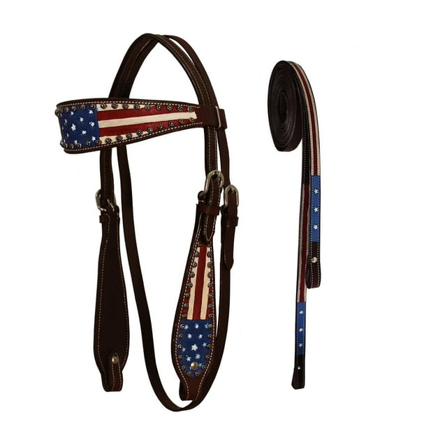 Tahoe Western Patriótico Bandera Americana Browband Caballo Headstall con Riendas (Pony)
