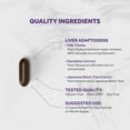 thumbnail image 3 of Naturalis Silymarin Milk Thistle 1300mg Enhanced with B Complex & Amino Acids | 13-in-1  | 60 Softgels, 3 of 6