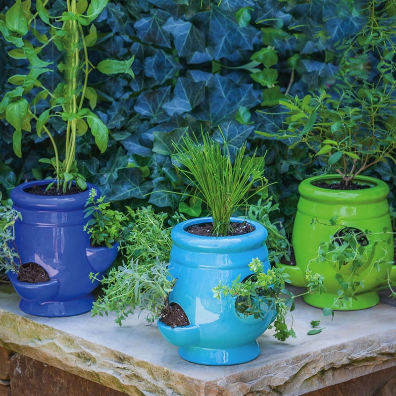 Blooms, Strawberry Pot and Planter, 3 Assorted