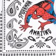 thumbnail image 5 of Marvel Spider-Man Little Boys Athletic T-Shirt and Shorts Outfit Set Little Kid to Big Kid, 5 of 5