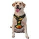 thumbnail image 1 of Balery Tangerine Arnés para Perros Grandes Antitirones, Arnés con Correa para Gato, Arnés Tipo Chaleco para Perros Pequeños-Medium, 1 of 6
