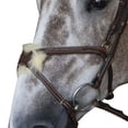 thumbnail image 3 of John Whitaker Pick N Mix Leather Horse Grackle Noseband, 3 of 4