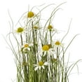 thumbnail image 2 of Vickerman 48" Artificial Potted Green Grass and Daisies., 2 of 5