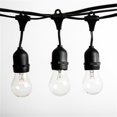 thumbnail image 1 of Hometown Evolution  24 ft. E26 Commercial Outdoor String Lights With 12 Suspended Sockets And A15 Clear Bulbs, 1 of 1