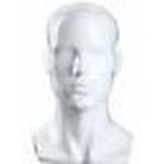 SHANY Styrofoam Model Mannequin Head