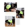 thumbnail image 2 of Gilet Réfléchissant en Polyester pour Animaux de Compagnie Portable Respirant Fluorescent Extérieur Course à l'Extérieur Bretelle Ajustable Mignon Extérieur Entraînement Chasse Gilets Vêtements Vert G, 2 of 9