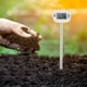 thumbnail image 2 of Probador de humedad del suelo del higrómetro del suelo Digital, probador de la humedad de la temperatura del medidor de humedad con una sola sonda para la agricultura de jardinería, 2 of 5