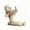 B, variant on Beforeyayn Cute High Kick Cat Phone Holder, Kawaii Animal Phone Stand for Desk, Creative Resin Mobile Phone Stand for Bedside Table, Office, Home Decor