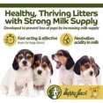 thumbnail image 3 of Happy Jack Milkade Dog Breeding & Nursing Supplies, Milk Production Aid for Female Dogs & Healthy Litter, Pregnant Prenatal Vitamin with Vitamin B1 (2 oz), 3 of 8