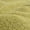 Lizard Green, variant on Sandtastik Coarse Colored Sand, Orange - 25 lb