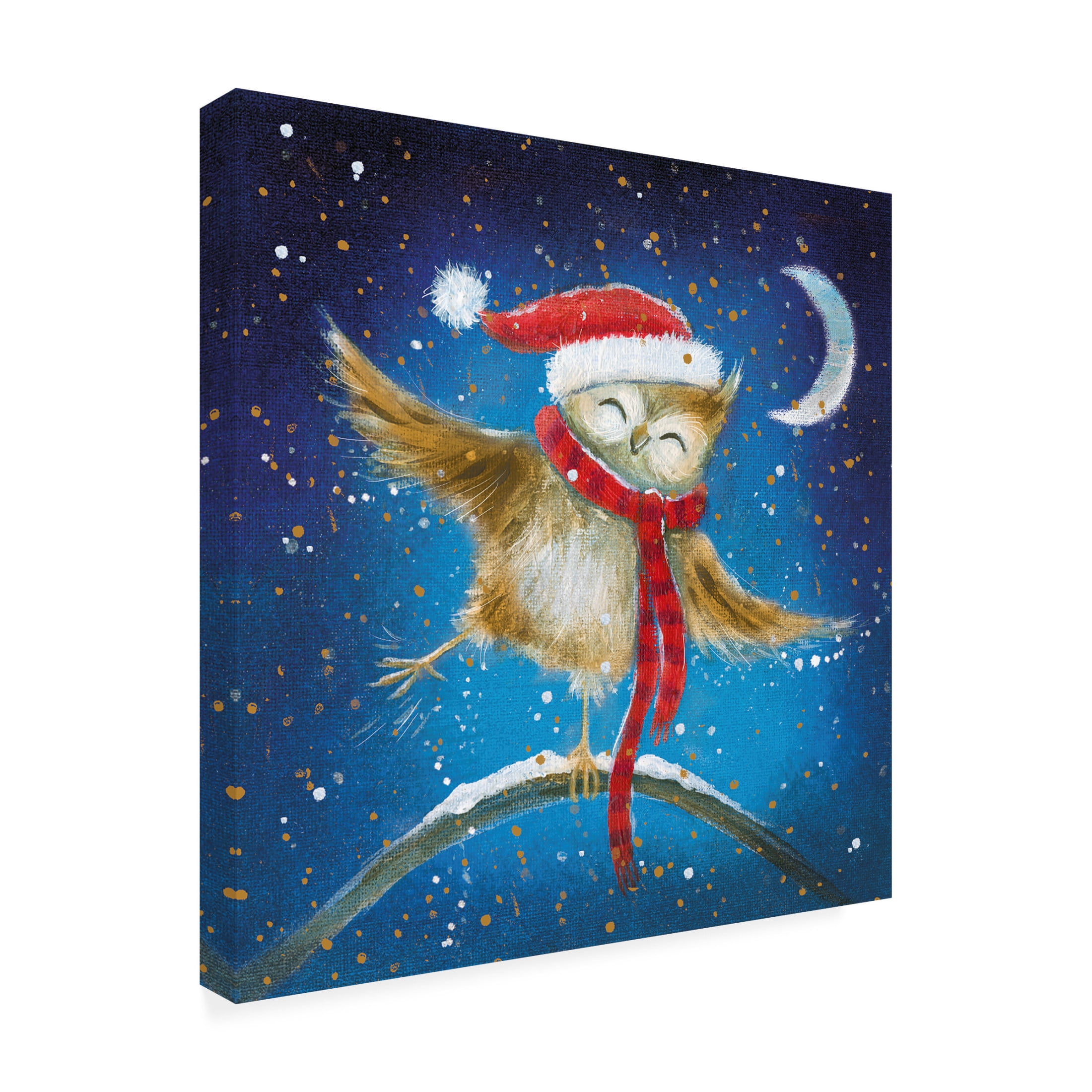 Canvas Wall Art - Paper Dove Co Ltd 'Jolly Owl' Wall Art for Living Room, Bedroom, or Office Décor by Trademark Fine Art - 14 x 14 Inches