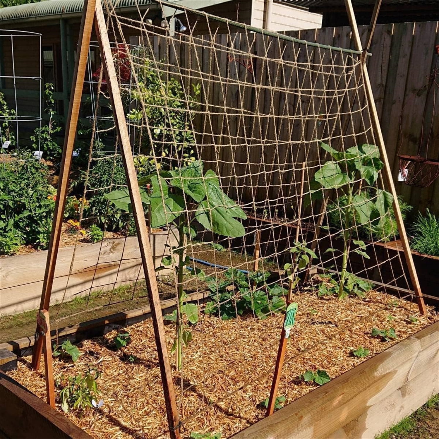 Natural Jute Net for Climbing Plants Outdoor -Bexikou Garden Plant Trellis Netting,Garden Trellis for Garden Climbing Vining Plants Cucumber,Vine, Fruits & Vegetables Tomato(5.9 Ft x 11.5 Ft)