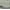 Sage Camo, variant on Weekend Academy Boys Washed Pull-On Shorts, Sizes XS-XXL