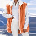 thumbnail image 2 of FAIWAD Fleece Vest Women Full Zip Sleeveless Fuzzy Sherpa Outerwear Winter Warm Fuzzy Outerwear Outdoor Daily Casual Outfits, 2 of 8
