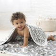 thumbnail image 3 of Aden + Anais Silky Soft Bamboo Dream Blanket - In Motion, 3 of 4