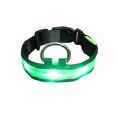 thumbnail image 2 of Collier Incandescent Réglable pour Animaux de Compagnie Randonnée Nuit Randonnée Nuit Marche Étrangleur Rechargeable Éclairé par Animal Colliers Lavables pour Animaux de Compagnie Fournitures Cadeau Vert S, 2 of 8