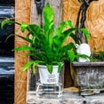 thumbnail image 6 of Balcony Outdoor Garden Supplies Green Dill Succulents Purifying air Auto Irrigate Hydroponic Planters Plant Pot Flower Pots Home Decor A 15CM, 6 of 8