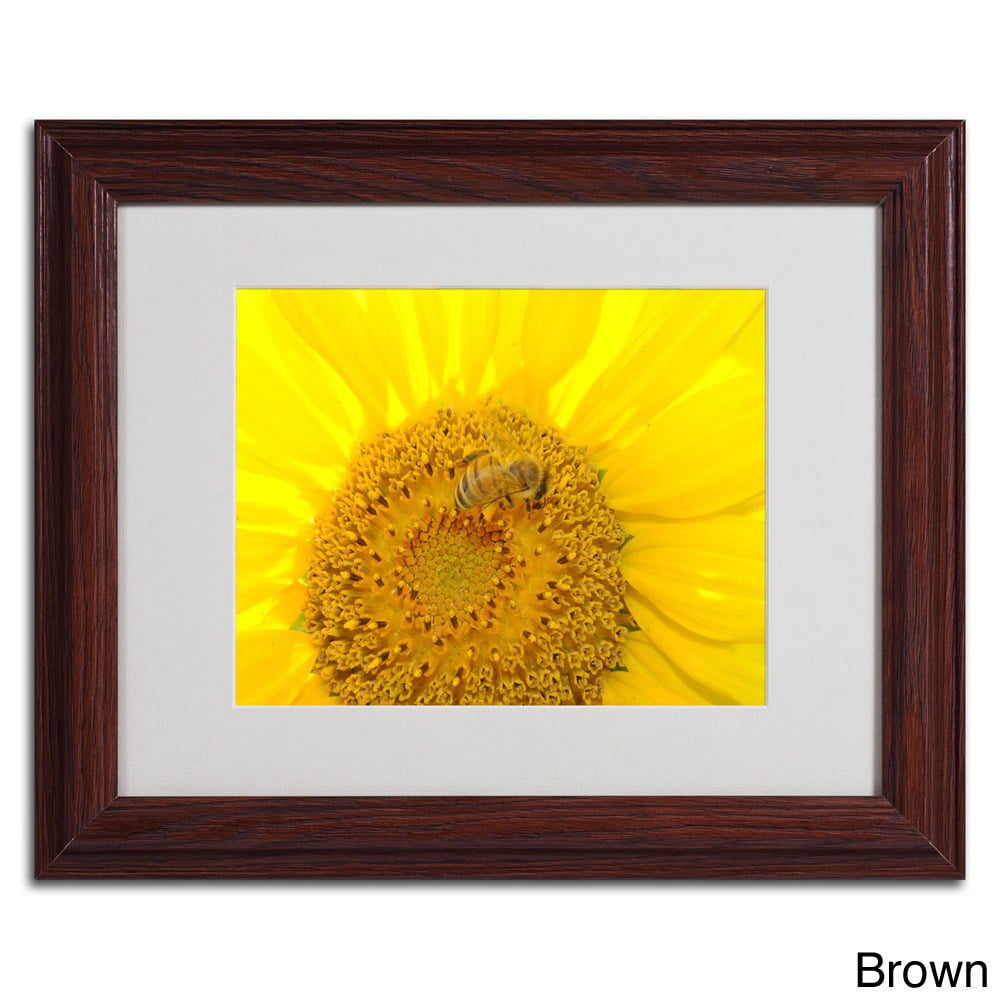 Trademark Fine Art "Honey-Maker" by Monica Fleet, Black Frame