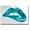 Teal, variant on Artistic Home Gallery 2436N277TG Luscious Teal by Sarah McGuire Custom Gallery-Wrapped Canvas Giclee Art - Ready to Hang, 24 x 36 x 1.5 in.